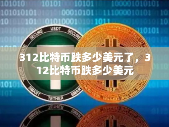312比特币跌多少美元了，312比特币跌多少美元