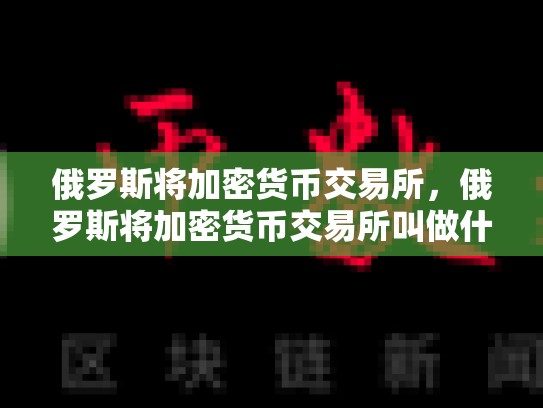 俄罗斯将加密货币交易所，俄罗斯将加密货币交易所叫做什么