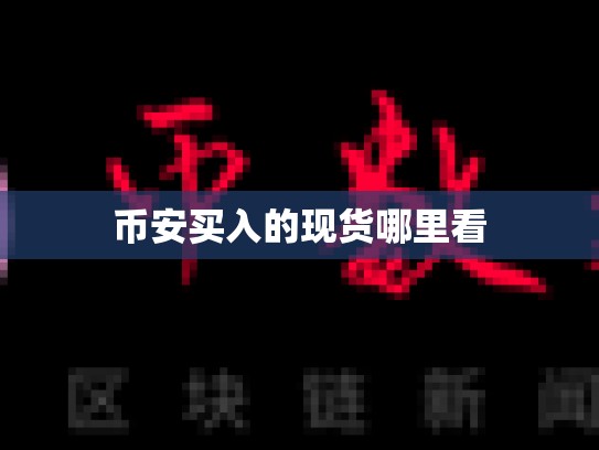 币安买入的现货哪里看