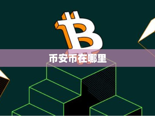 币安币在哪里