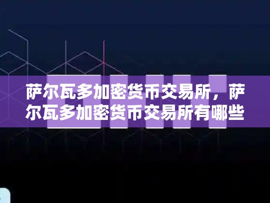 萨尔瓦多加密货币交易所，萨尔瓦多加密货币交易所有哪些