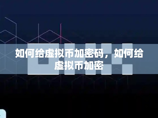 如何给虚拟币加密码，如何给虚拟币加密
