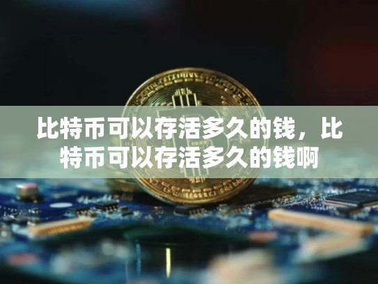 比特币可以存活多久的钱，比特币可以存活多久的钱啊-第1张图片-币数通