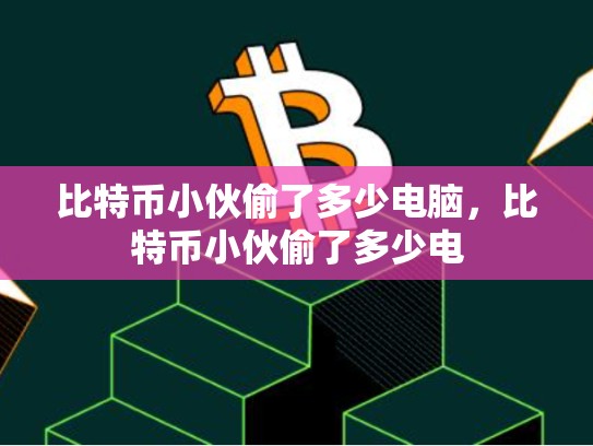 比特币小伙偷了多少电脑，比特币小伙偷了多少电