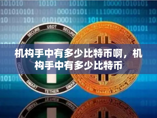 机构手中有多少比特币啊，机构手中有多少比特币