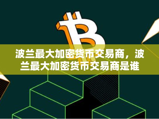 波兰最大加密货币交易商，波兰最大加密货币交易商是谁