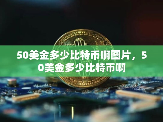 50美金多少比特币啊图片，50美金多少比特币啊