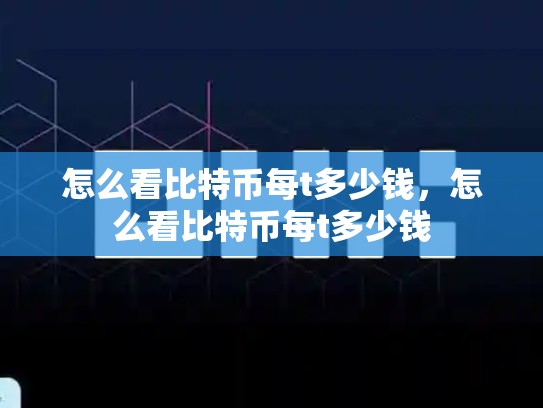 怎么看比特币每t多少钱，怎么看比特币每t多少钱