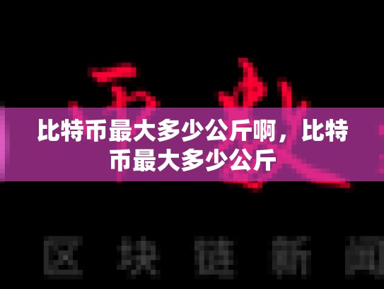 比特币最大多少公斤啊，比特币最大多少公斤-第1张图片-币数通