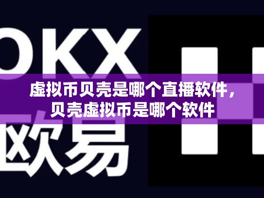 虚拟币贝壳是哪个直播软件，贝壳虚拟币是哪个软件-第1张图片-币数通