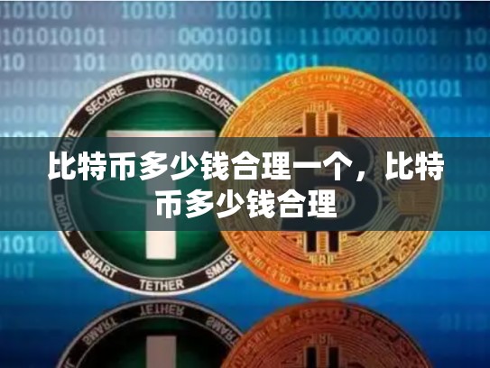 比特币多少钱合理一个，比特币多少钱合理