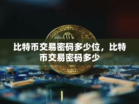 比特币交易密码多少位，比特币交易密码多少