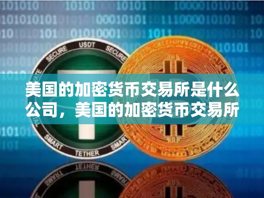 美国的加密货币交易所是什么公司，美国的加密货币交易所是什么公司啊
