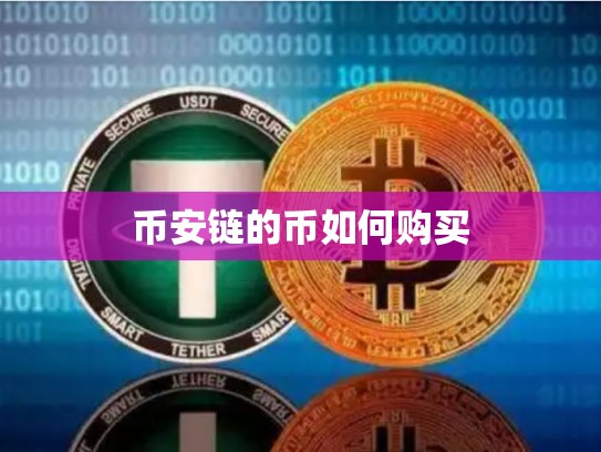 币安链的币如何购买-第1张图片-币数通