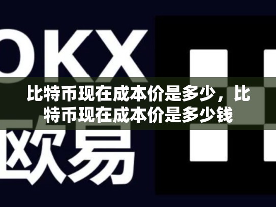 比特币现在成本价是多少，比特币现在成本价是多少钱