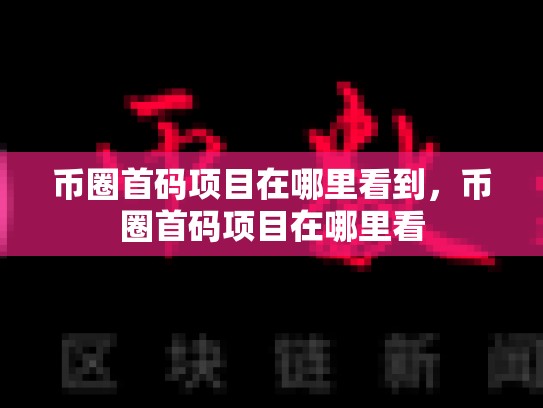 币圈首码项目在哪里看到，币圈首码项目在哪里看-第1张图片-币数通