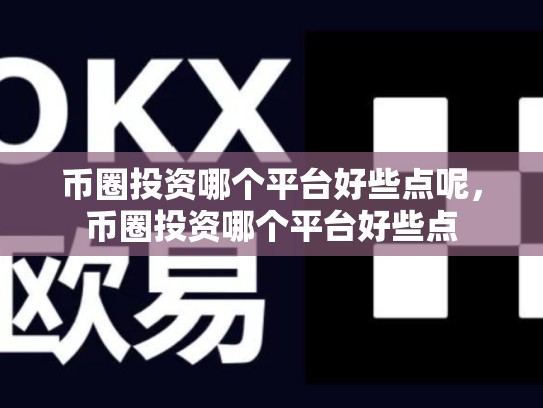 币圈投资哪个平台好些点呢，币圈投资哪个平台好些点