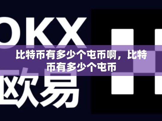 比特币有多少个屯币啊，比特币有多少个屯币-第1张图片-币数通