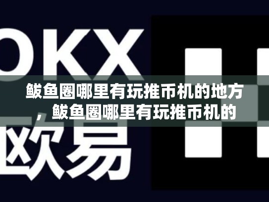 鲅鱼圈哪里有玩推币机的地方，鲅鱼圈哪里有玩推币机的-第1张图片-币数通