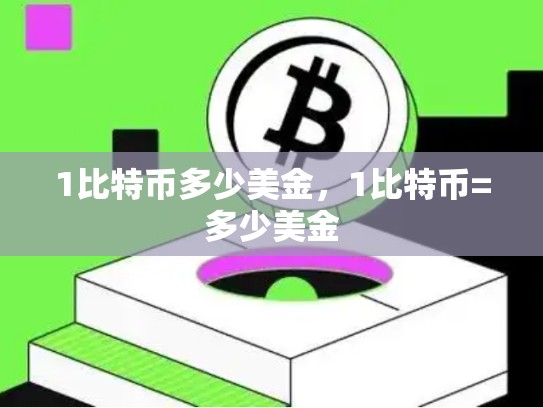 1比特币多少美金，1比特币=多少美金-第1张图片-币数通