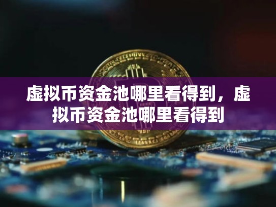虚拟币资金池哪里看得到，虚拟币资金池哪里看得到-第1张图片-币数通