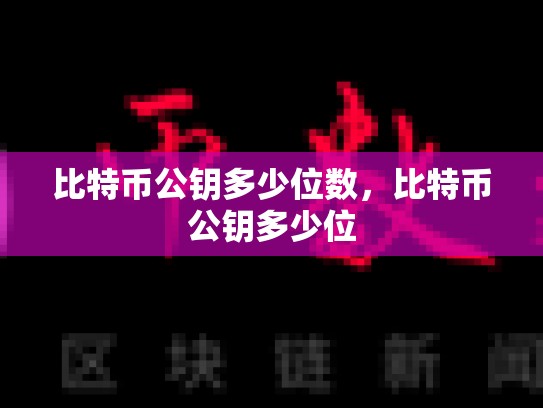 比特币公钥多少位数，比特币公钥多少位-第1张图片-币数通