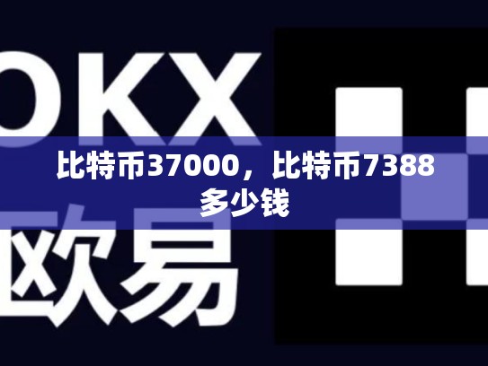 比特币37000，比特币7388多少钱-第1张图片-币数通