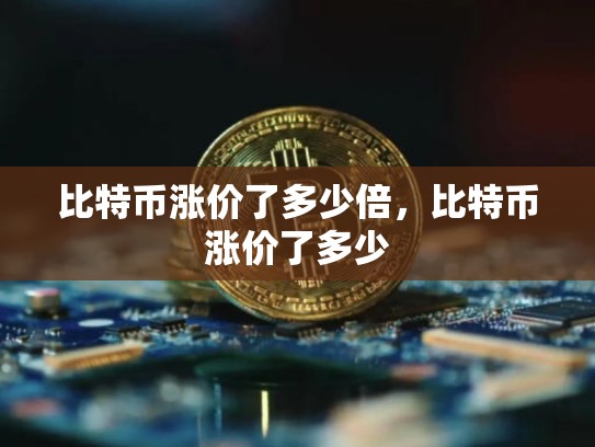 比特币涨价了多少倍，比特币涨价了多少