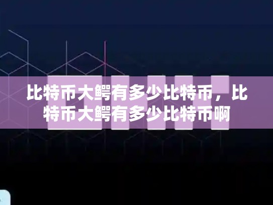 比特币大鳄有多少比特币，比特币大鳄有多少比特币啊