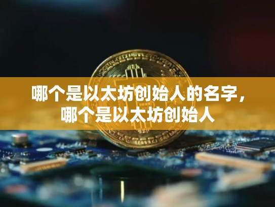 哪个是以太坊创始人的名字，哪个是以太坊创始人-第1张图片-币数通