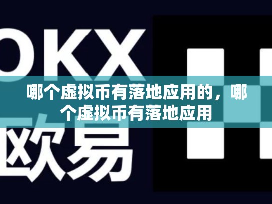 哪个虚拟币有落地应用的，哪个虚拟币有落地应用-第1张图片-币数通