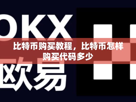 比特币购买教程，比特币怎样购买代码多少-第1张图片-币数通