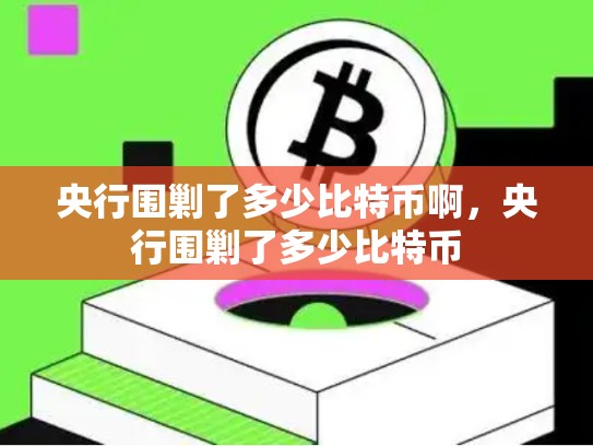 央行围剿了多少比特币啊，央行围剿了多少比特币-第1张图片-币数通