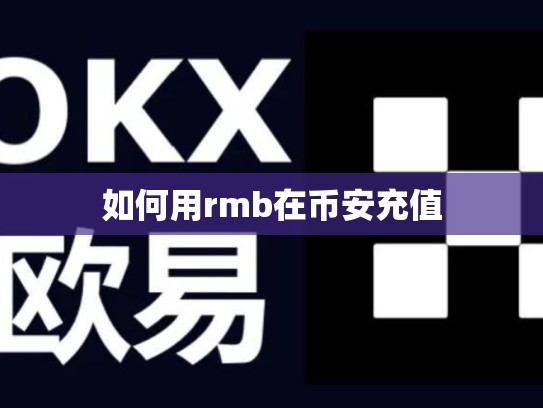 如何用rmb在币安充值
