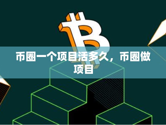 币圈一个项目活多久，币圈做项目-第1张图片-币数通