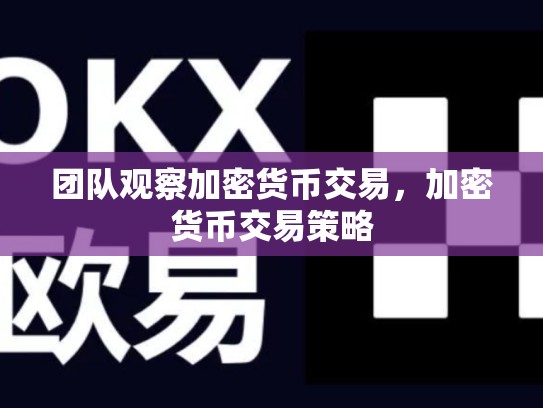 团队观察加密货币交易，加密货币交易策略-第1张图片-币数通