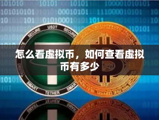 怎么看虚拟币，如何查看虚拟币有多少-第1张图片-币数通