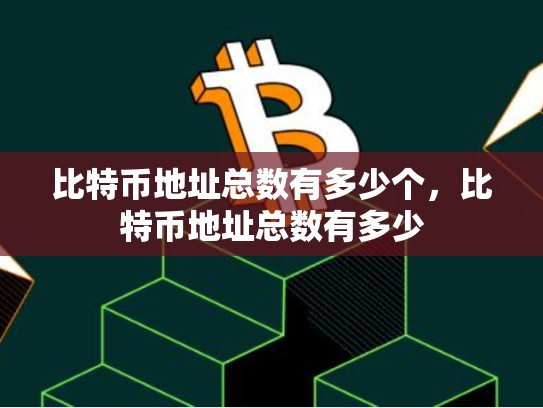 比特币地址总数有多少个，比特币地址总数有多少-第1张图片-币数通
