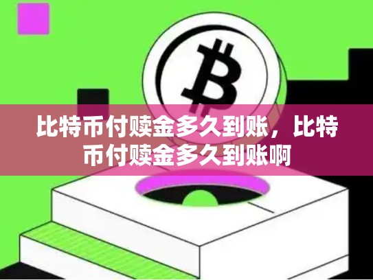 比特币付赎金多久到账，比特币付赎金多久到账啊