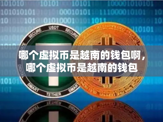 哪个虚拟币是越南的钱包啊，哪个虚拟币是越南的钱包-第1张图片-币数通