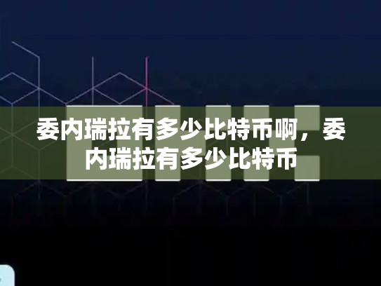 委内瑞拉有多少比特币啊，委内瑞拉有多少比特币