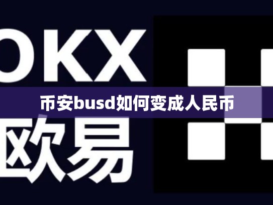 币安busd如何变成人民币