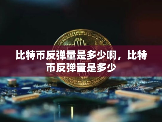 比特币反弹量是多少啊，比特币反弹量是多少-第1张图片-币数通