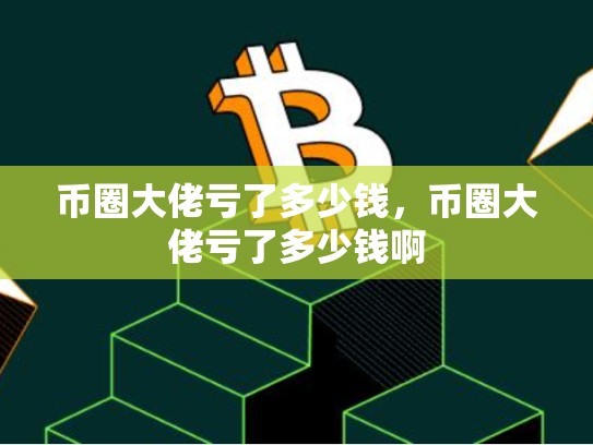 币圈大佬亏了多少钱，币圈大佬亏了多少钱啊-第1张图片-币数通
