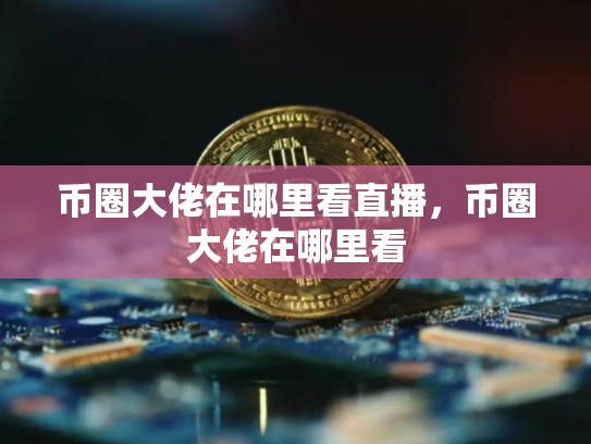 币圈大佬在哪里看直播，币圈大佬在哪里看-第1张图片-币数通