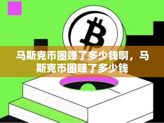 马斯克币圈赚了多少钱啊，马斯克币圈赚了多少钱-第1张图片-币数通
