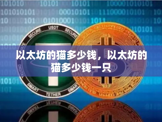 以太坊的猫多少钱，以太坊的猫多少钱一只-第1张图片-币数通