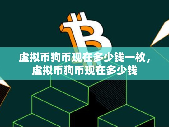 虚拟币狗币现在多少钱一枚，虚拟币狗币现在多少钱
