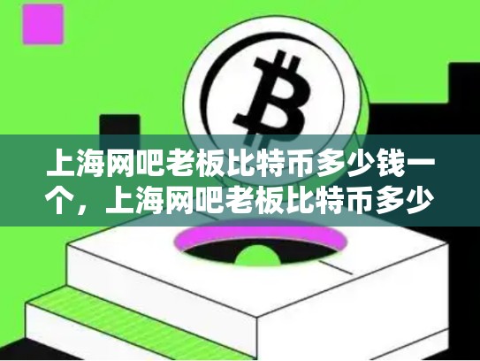 上海网吧老板比特币多少钱一个，上海网吧老板比特币多少-第1张图片-币数通