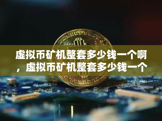 虚拟币矿机整套多少钱一个啊，虚拟币矿机整套多少钱一个